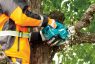 CORDLESS CHAIN SAW UC003G