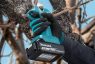 Cordless Pruning Shear LXT DUP181